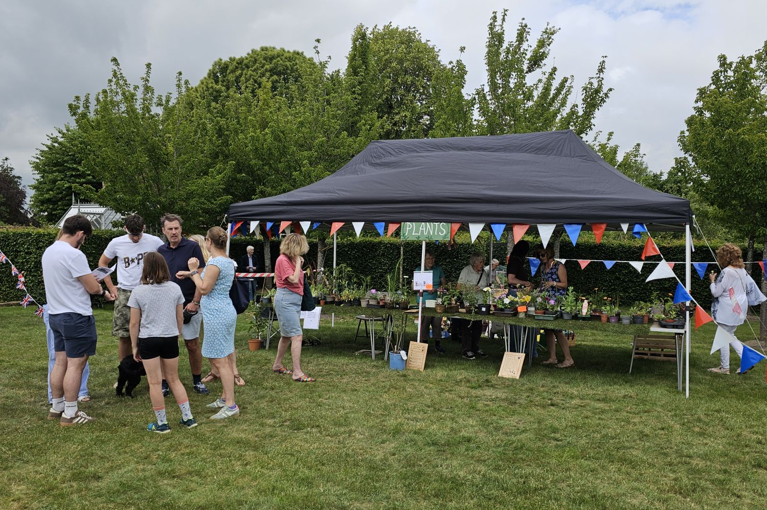 Plant stall