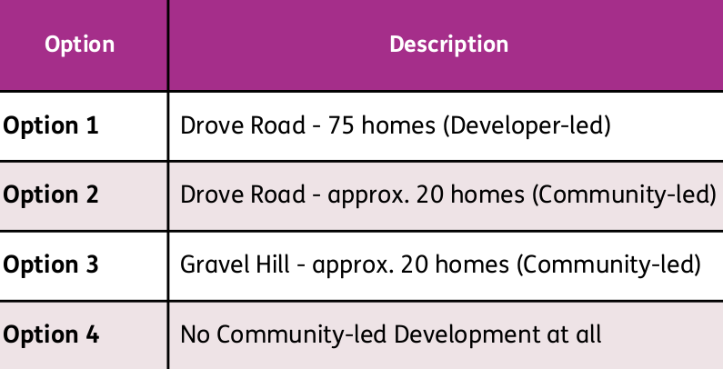 Parish Council opens consultation on development options
