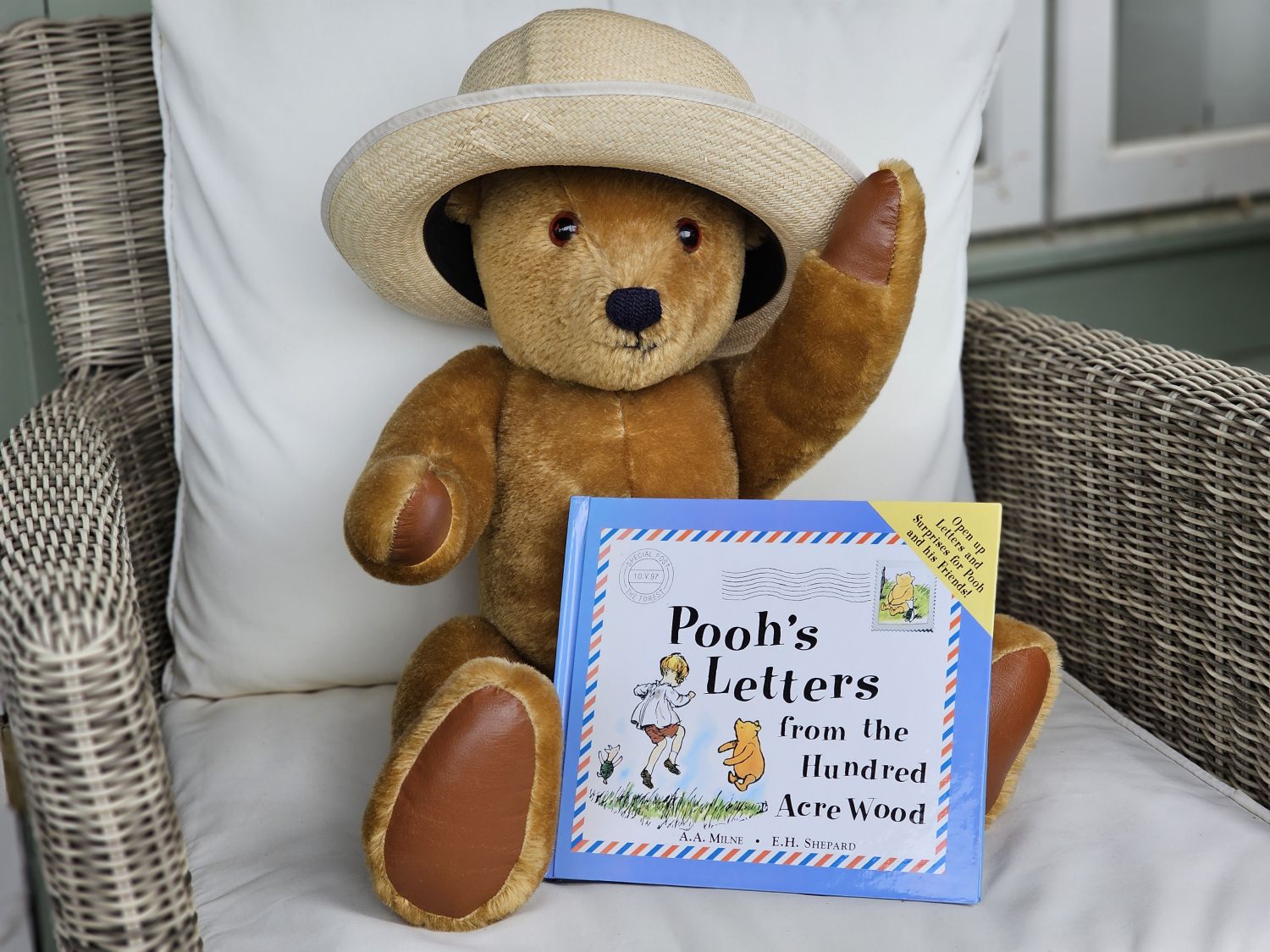 Ballimore Bear