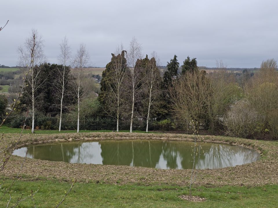 March 2026: A newly-created pond