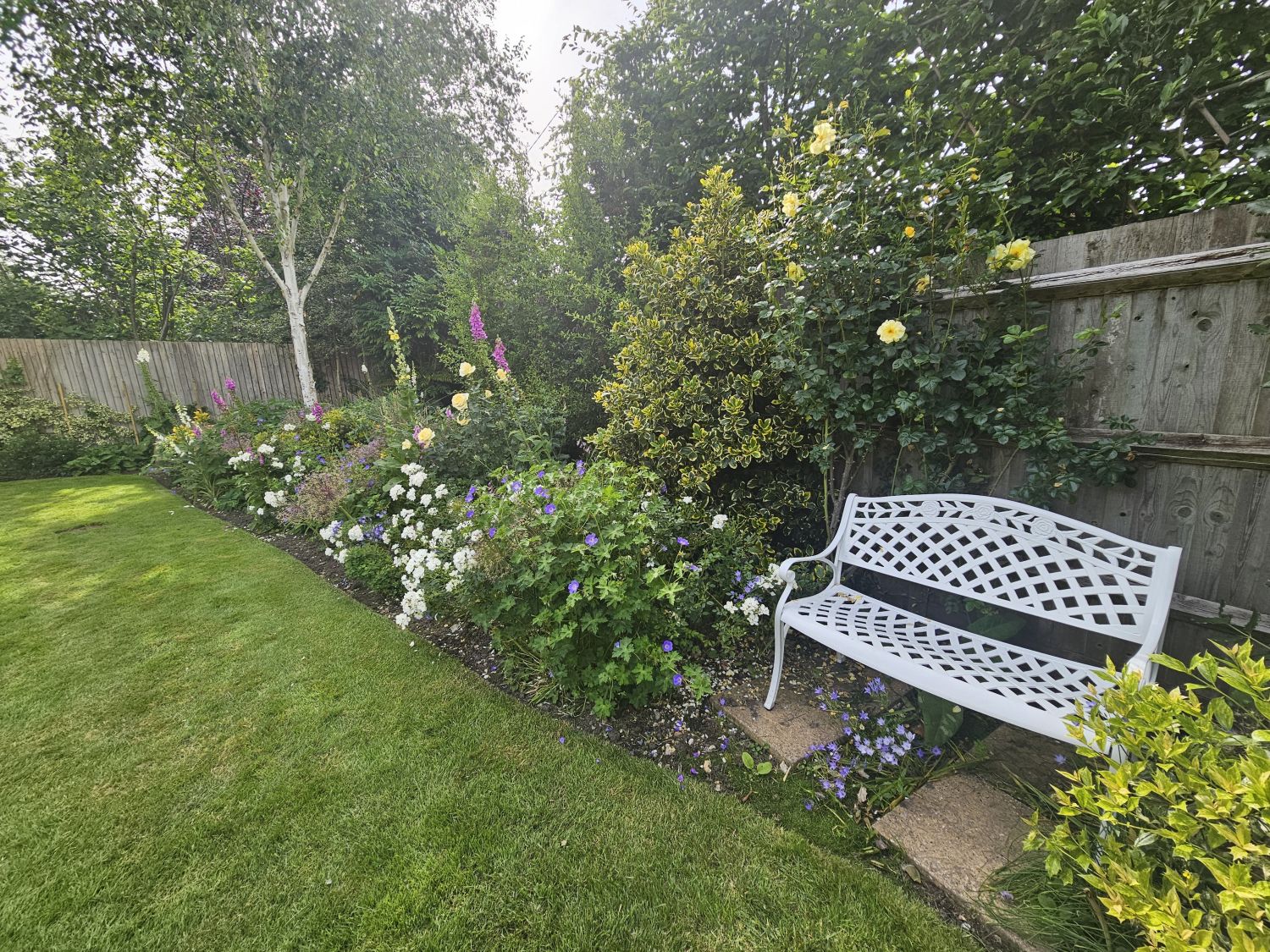 Beech House: a restful border