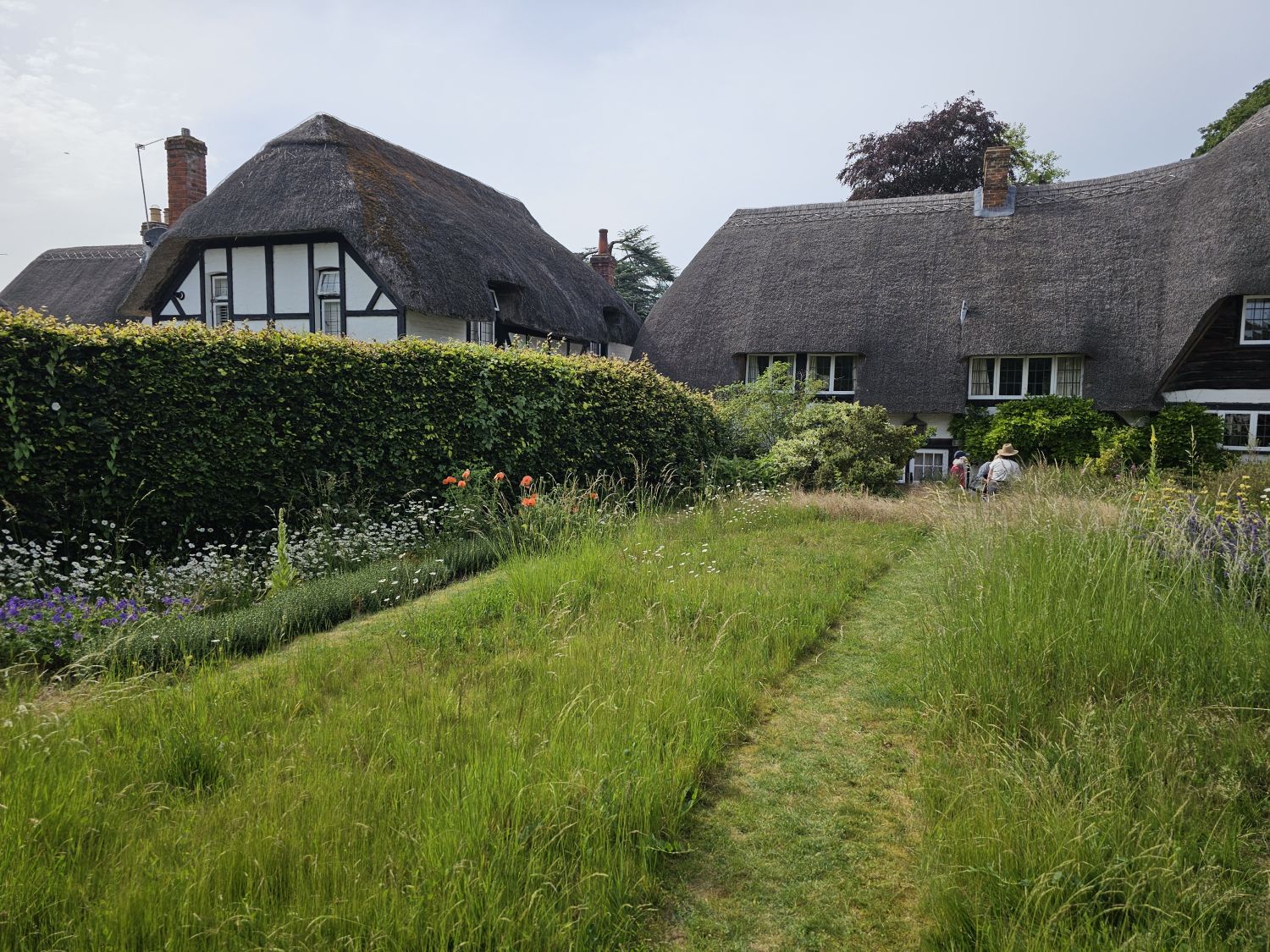 Chilbolton Cottage: long grass with mown paths