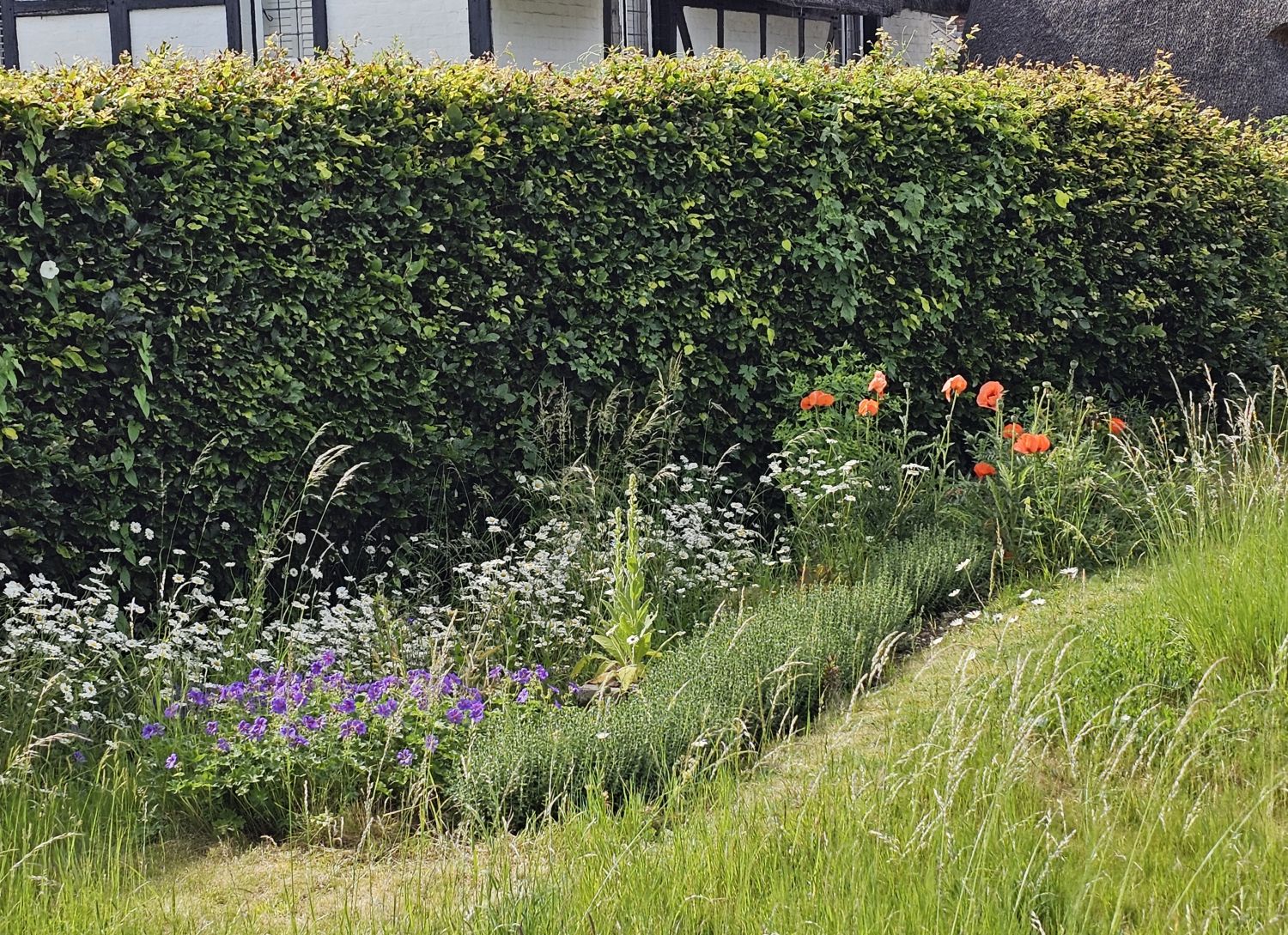 Chilbolton Cottage: border