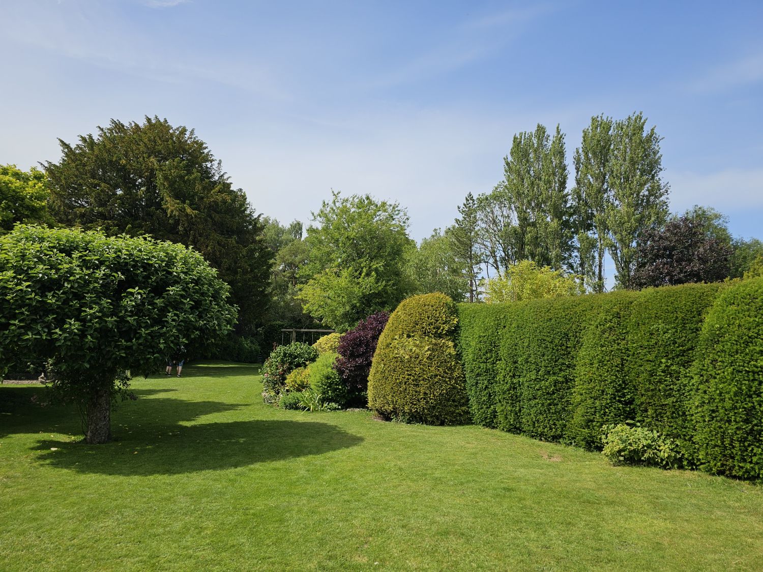 Test Cottage: topiary