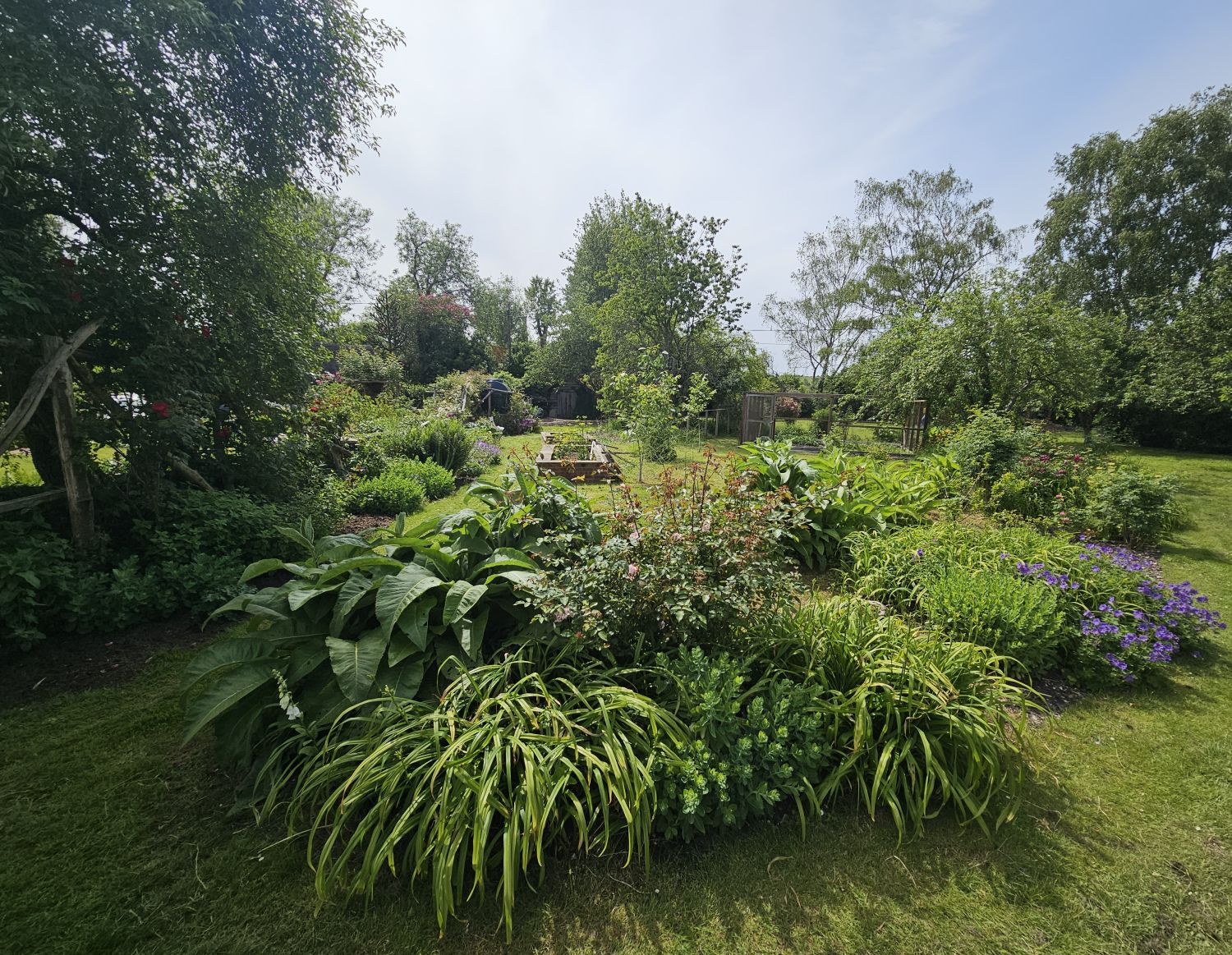 Willows Cottage garden