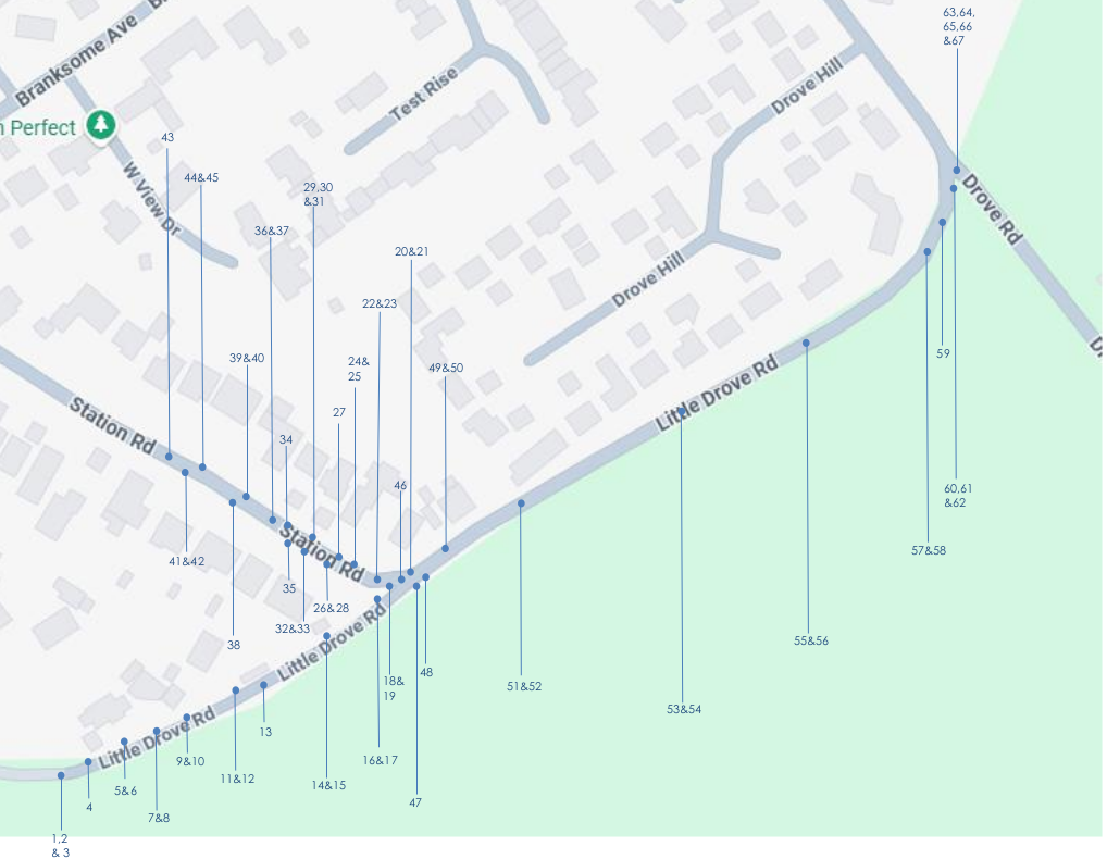 Survey locations - Little Drove Road and upper Station Road